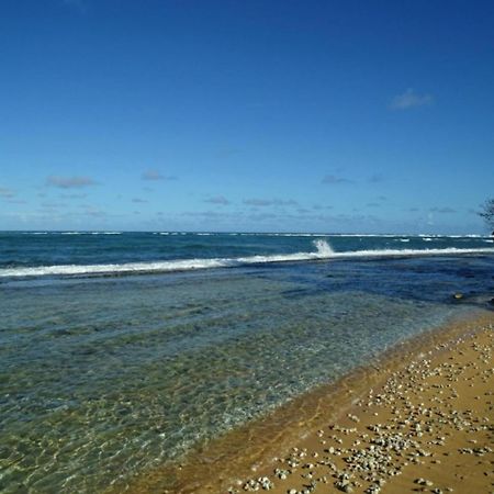 Kapaa Shores | Pristine Beach Kauai エクステリア 写真